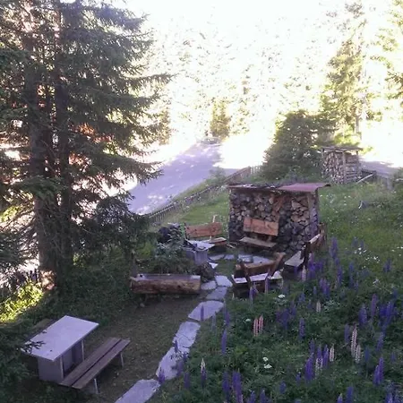 Gollrad 1 Ароза