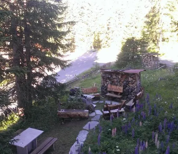 Gollrad 1 أروسا